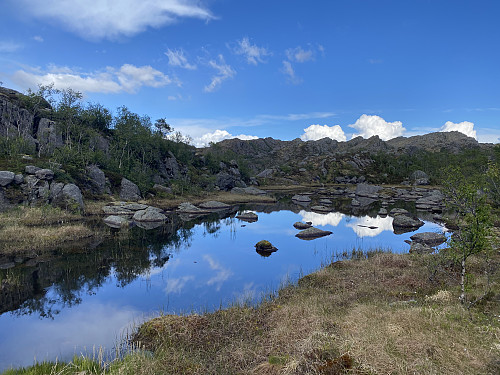 Idyll på returen etter at snøbygene har feid forbi, her ved tjørna like sør for utløpet av Storavatnet