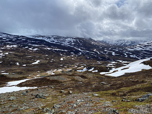Mot sætergrenda Sålell