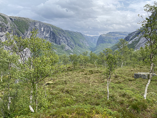 På Aksla med utsikt mot Tengesdal som ligg på denne sida av kvasse Odden