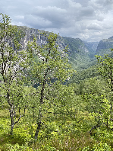 Litt lenger inne får me òg auge på vassenden og elvehølen Floen
