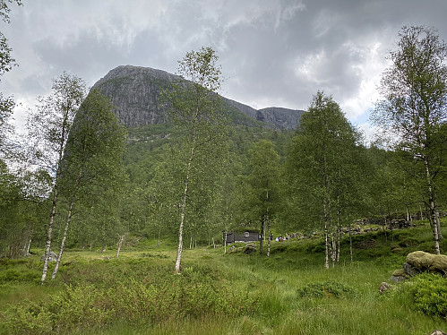 Åpning i skogen omkring hytta, som ligg der det gamle huset stod