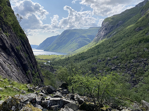 Retur mot Trodlatysdal I