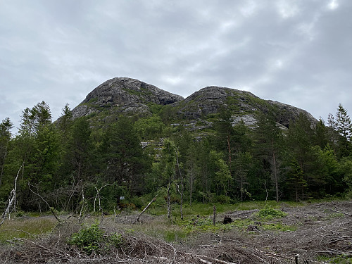 Jøatrappa sett nedenfra