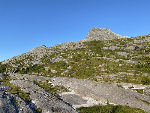 Mot turmålet oppe til høyre. T-merkingen rett på svaet er typisk her