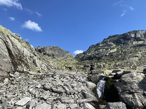 Oppe i bekkedalen