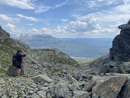 Kikkertstudier frå nedgangsskardet
