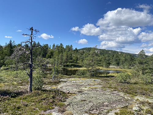Fra om lag samme sted med utsikt videre oppover fjellryggen