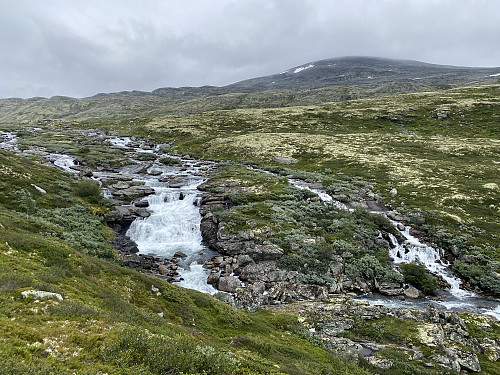 Jora bruser friskt nedenfor Lesjøen. Mjogsjøhøe danner bakgrunnen