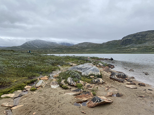 Stedvis sandstrand langs Lesjøen