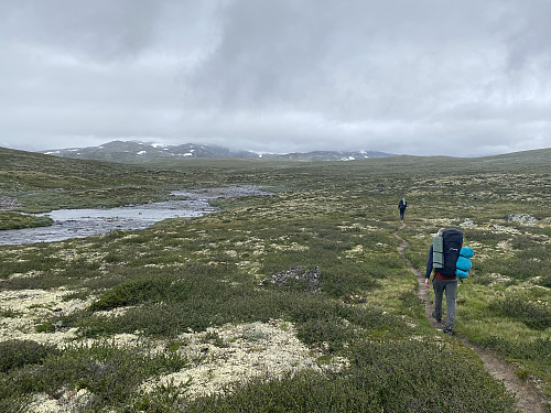 I fint driv over Leirsjøtelet, hvor Salhøe og Storskrymten er dekt av skodda