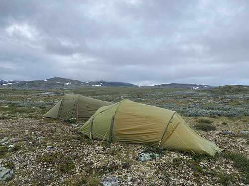 Fin og tørr teltplass med Salhøe og Storskrymten som bakgrunn