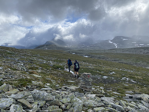 Vel oppe på T-stien ved Langvassbekken. Vi skal opp ryggen til venstre i bildet, i retning Nordre Svånåtind og Langvasstindane