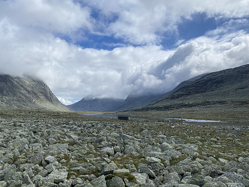 Parti fra Langvassdalen