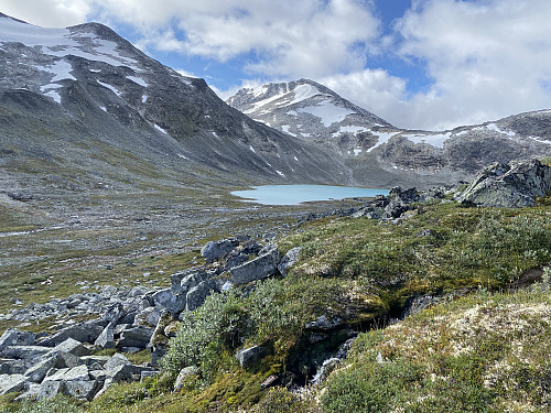 Mot vakre Tverrbytnet og Surtningstinden