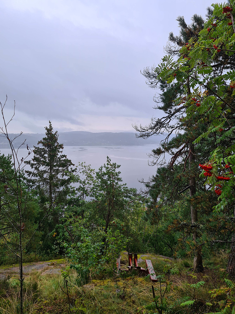 Fjordgløtt fra Åskollen
