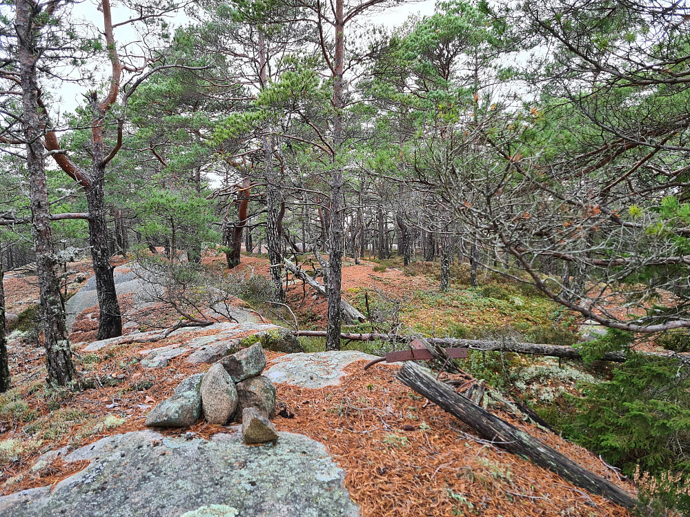 Berbytårnet