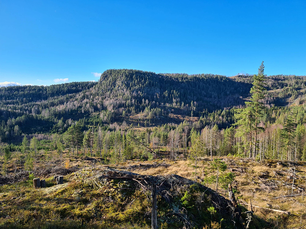 Utsikt mot Hoggvarden 437 moh