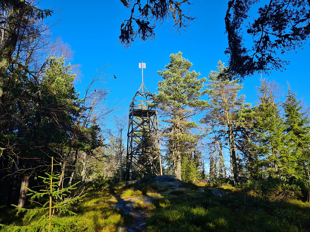 Tårnet på Skuterudseteråsen 484 moh