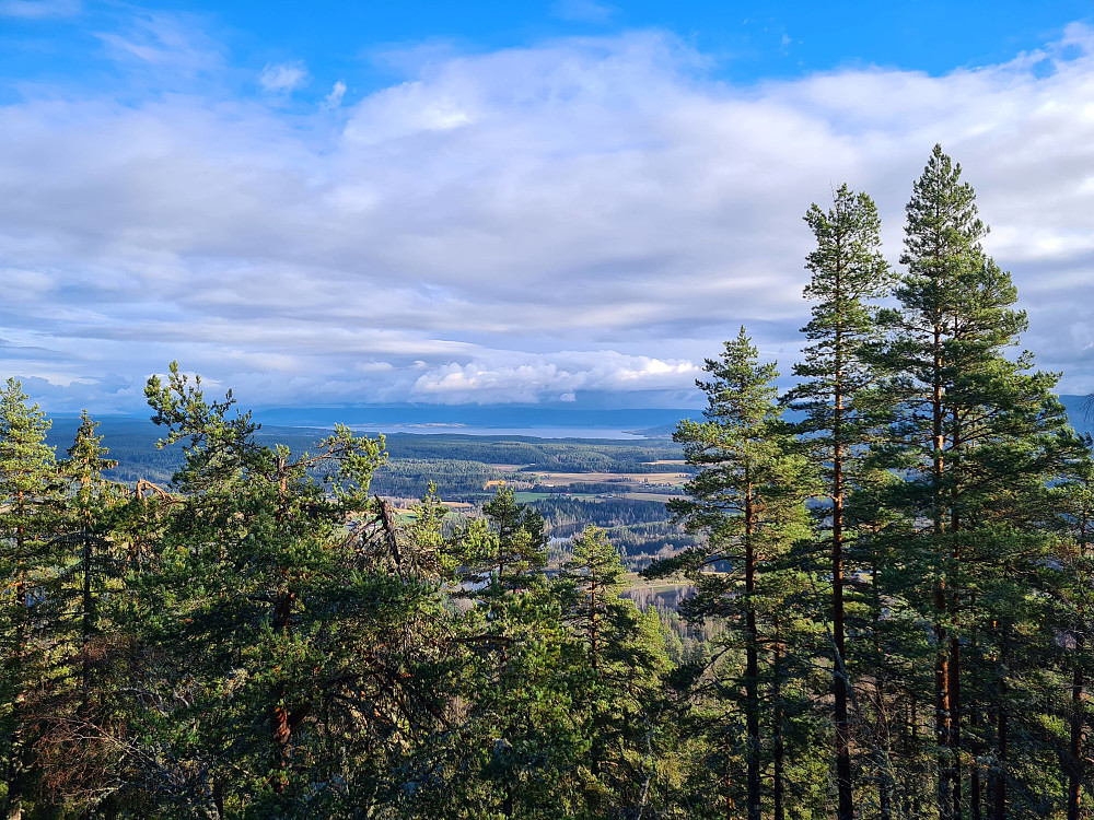 Utsikt nordøstover mot Tyrifjorden fra toppen av Nordgruvetjernåsen 444 moh