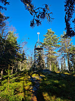 Tårnet