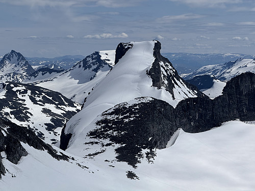 Storebjørn, looking bear-like.
