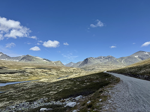 A Scottish-looking scene.