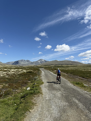 Alice sets off by bike.