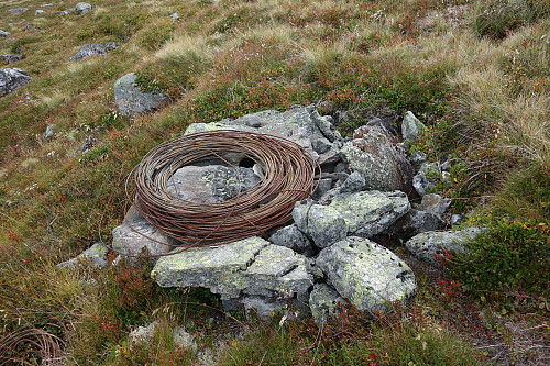 Noen har rydda inn linja