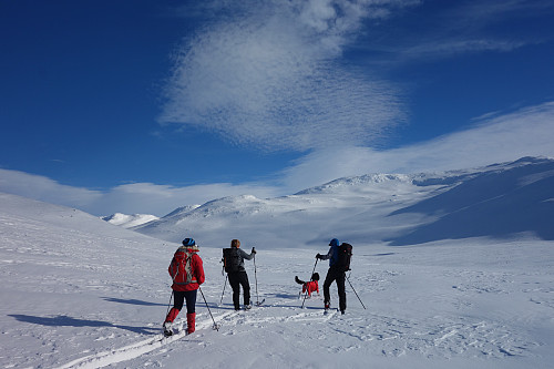 Borgarbuvann