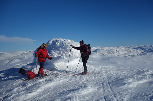 Friskt på toppen