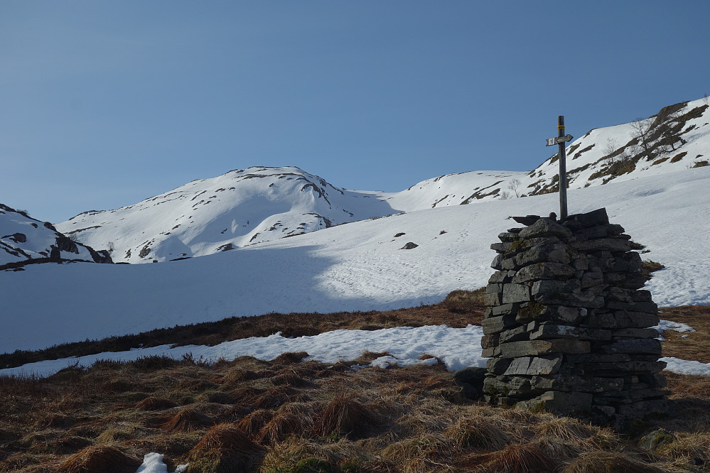 Fremdeles vinter