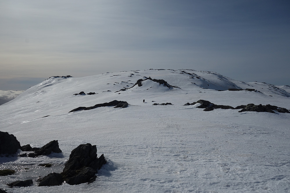 Ryggen på Søre  Gullfjellstoppen, ca 1 km ut til Sydpolen