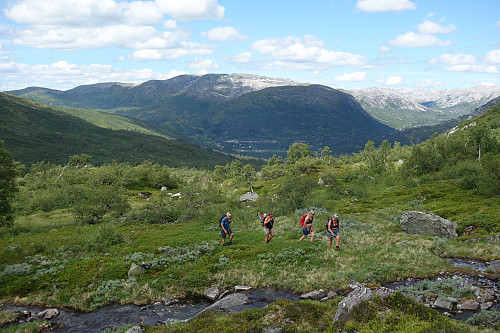Utsikt ut Mjølbotn