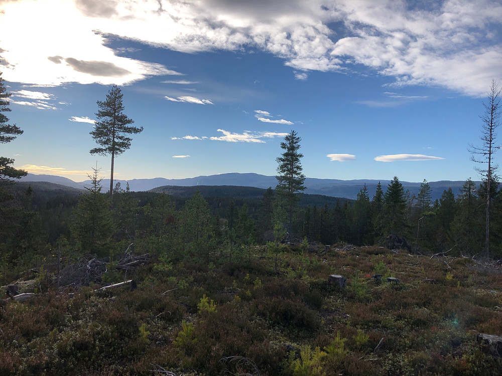 Flott utsikt fra Skagnestjernhøgda Sørøst mot blant annet Høgfjell