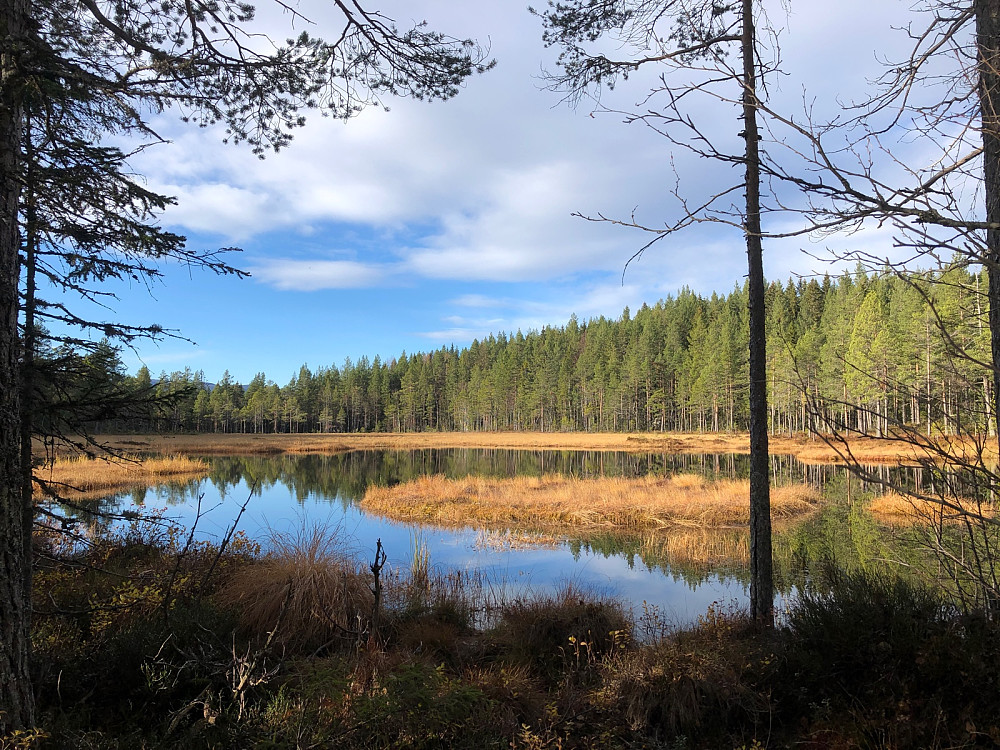 Skagnestjern