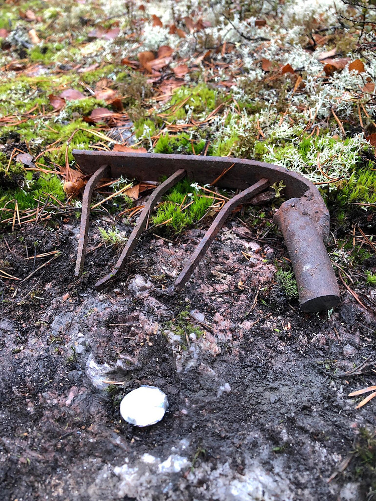 Festebolten etter kapping. Nå er det trygt her både for folk og fe.