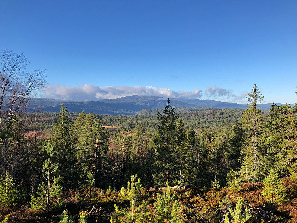 Fin utsikt til Vikerfjell i vest fra Tverråsen