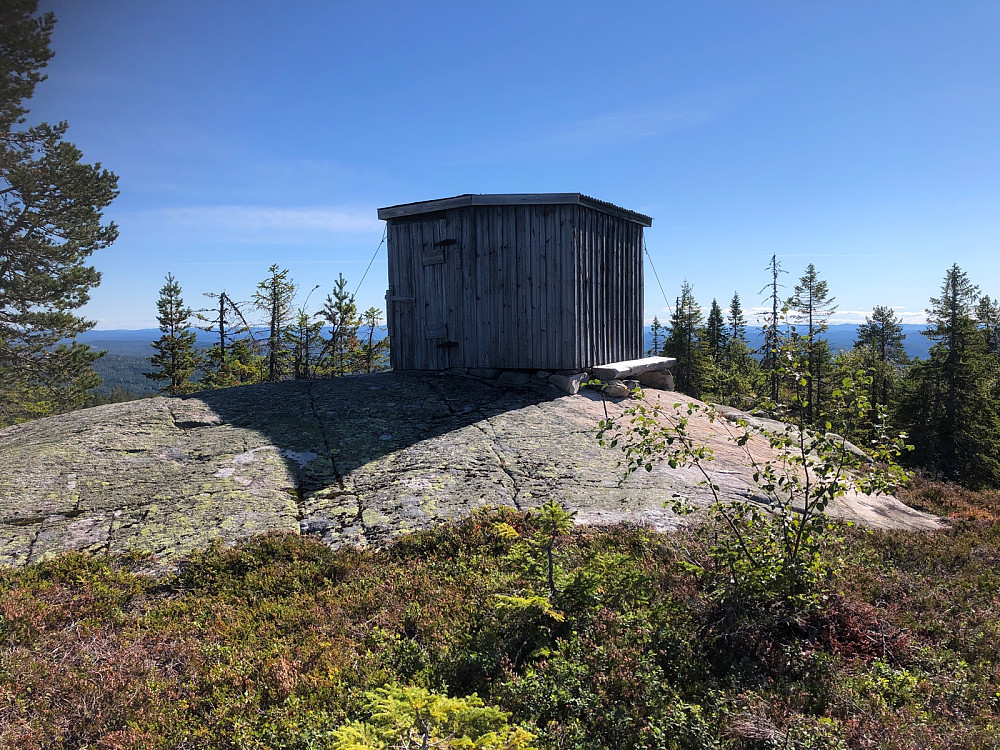 Stor vedbu på toppen av Tannfjell