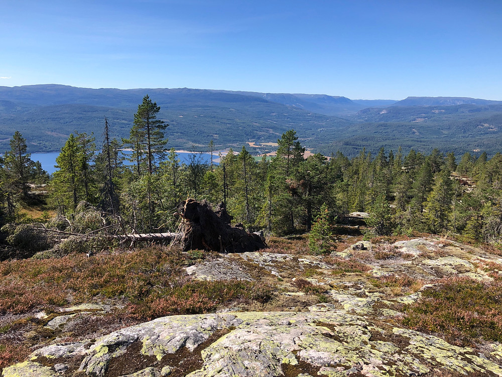 Utsikt mot vest fra Tannfjell: Nes i Ådal, Vikerfjell med Treknatta, Hedalen og Vassfaret