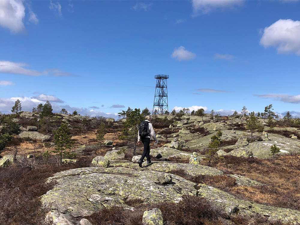 Lett å gå på svabergene innover mot tårnet på Solhomfjell