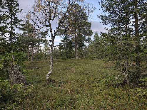 Klantefjell