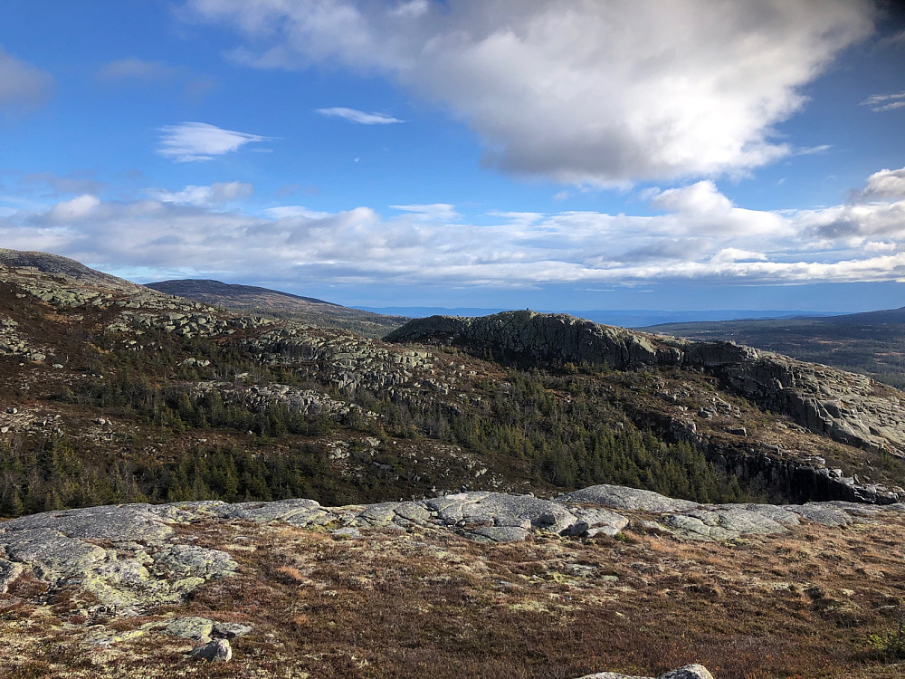 Utsikt fra Sandvasskollen Vest mot vardet høyde syd på Sandvasskollen. Svarttjernskollen i bakgrunnen