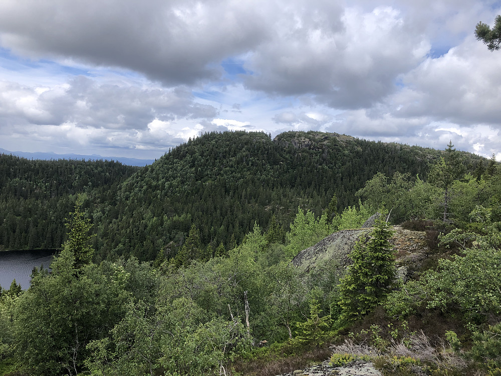 Vardefjell sett fra stien mot Skåråfjell