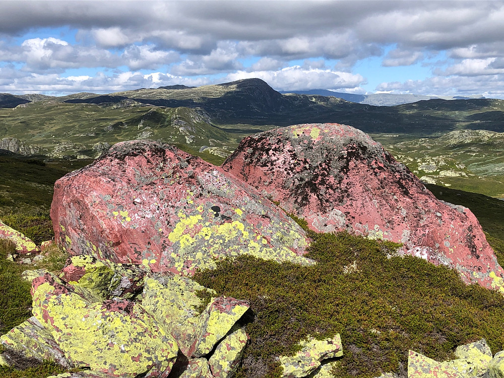 Mye rød sandstein i området rundt Brattefjell.
