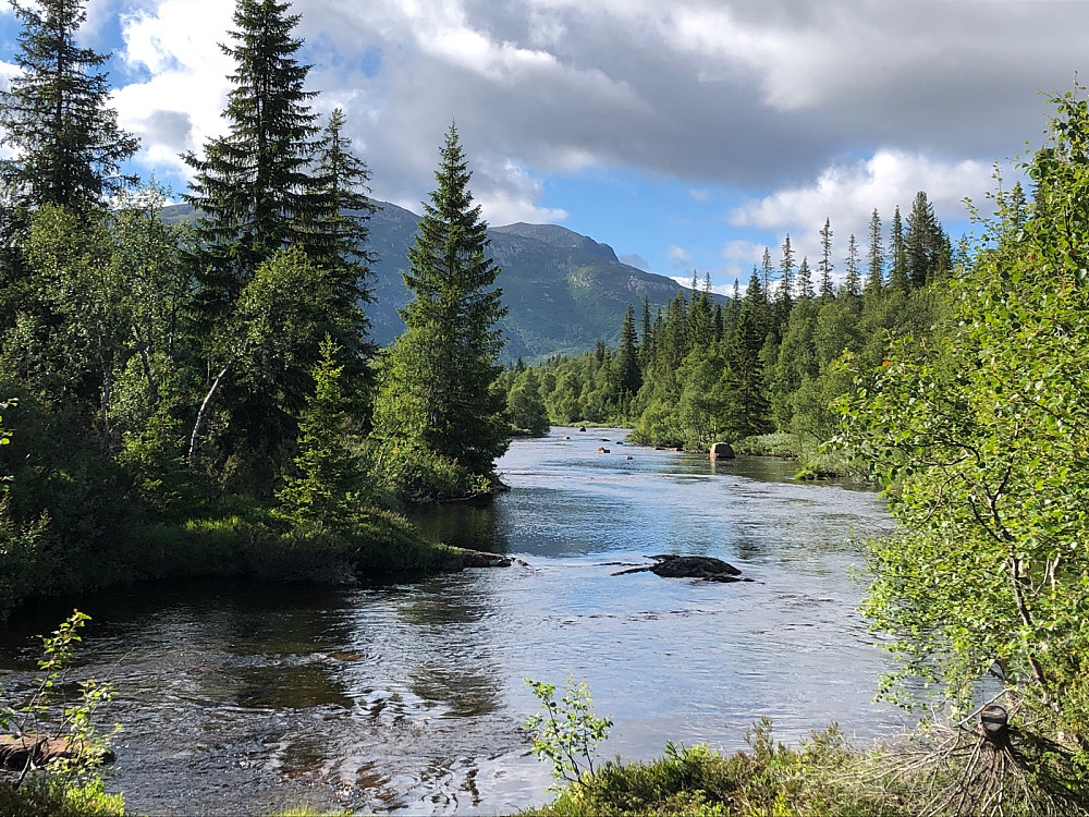Heiåi med Brattefjell bak.