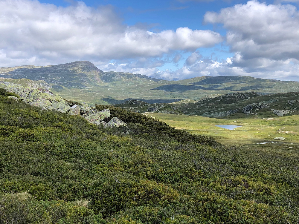 Nydelig fjellterreng. Vindeggen til venstre. Gaustatoppen skjult i skyene i bakgrunnen.