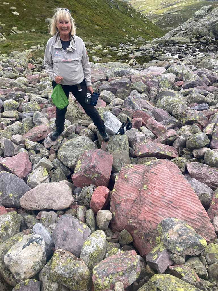 Rød sandstein med bølgeslag i 1400 meters høyde !!