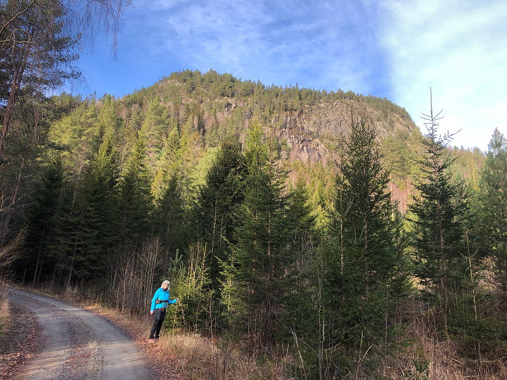 Øststupet på Somdalskollen og Fjellbråtakollen