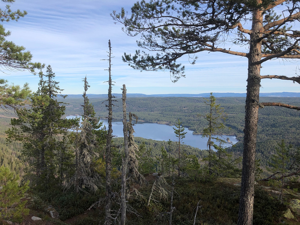 Samsjøen fra Somdalskollen