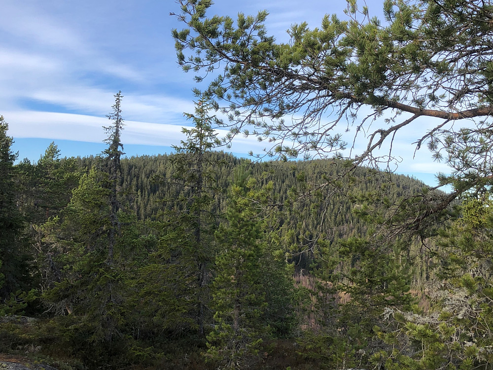 Fjøsvikfjellet med brannvakthytta fra Somdalskollen